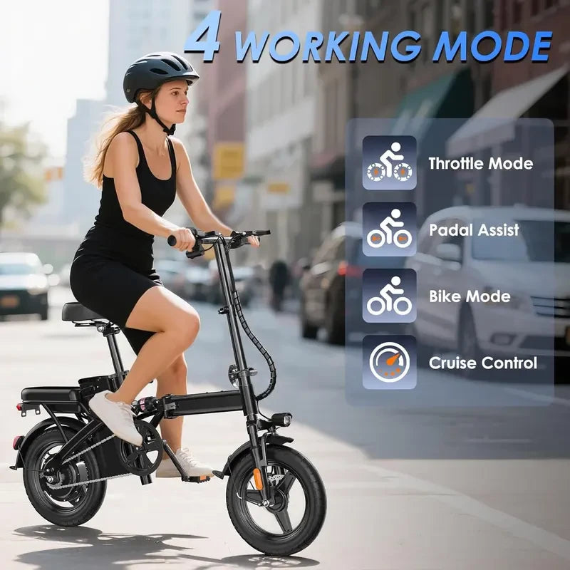 Folding Electric Bike