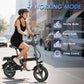 Folding Electric Bike
