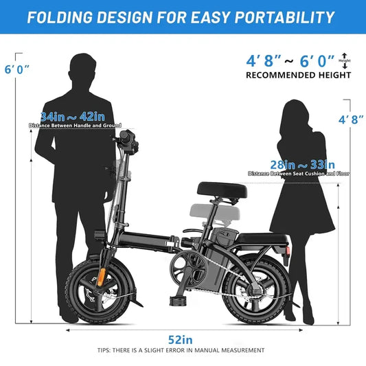 Folding Electric Bike